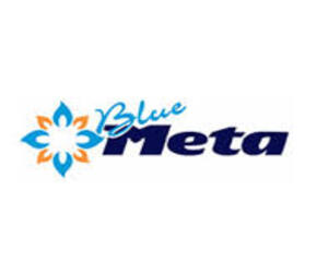 Blue Meta